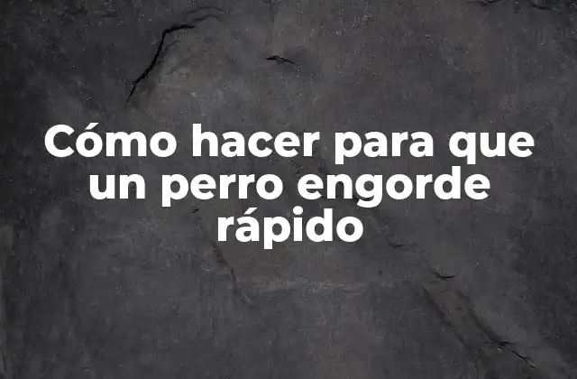 Cómo Hacer para que un Perro Engorde Rápido 2 Cómo hacer para que un perro engorde rápido