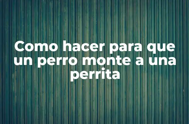¿Qué es la monta canina y para qué sirve?