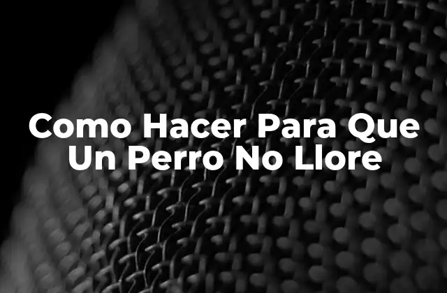 Como Hacer para que un Perro No Llore