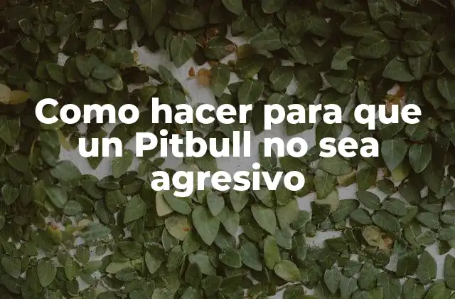 Como Hacer para que un Pitbull No Sea Agresivo