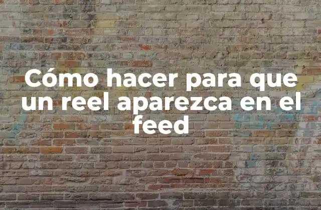 Cómo Hacer para que un Reel Aparezca en el Feed