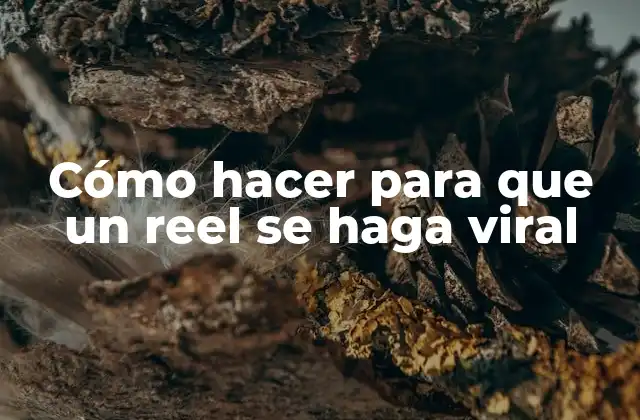 Cómo Hacer para que un Reel Se Haga Viral