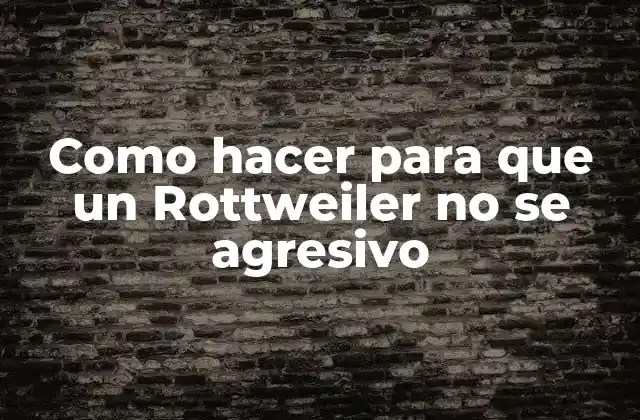 Como Hacer para que un Rottweiler No Se Agresivo