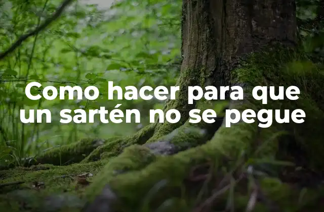 Como Hacer para que un Sartén No Se Pegue