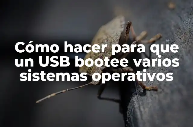 Cómo Hacer para que un Usb Bootee Varios Sistemas Operativos 2 Cómo hacer para que un USB bootee varios sistemas operativos