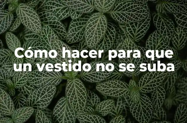 Cómo Hacer para que un Vestido No Se Suba