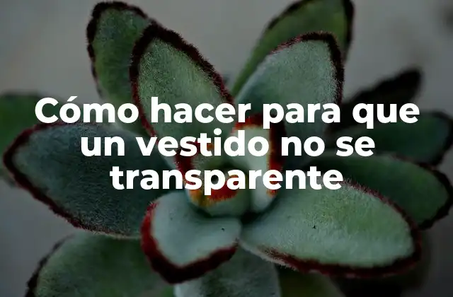 Cómo Hacer para que un Vestido No Se Transparente