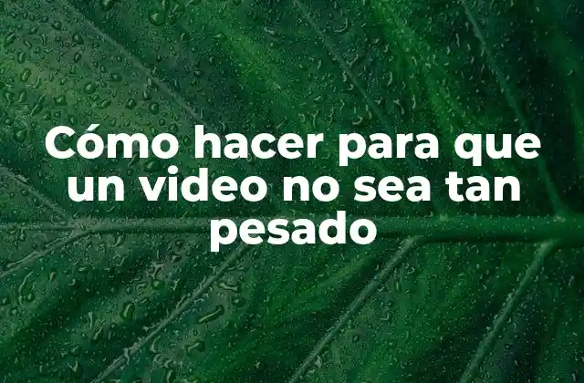 Cómo Hacer para que un Video No Sea Tan Pesado
