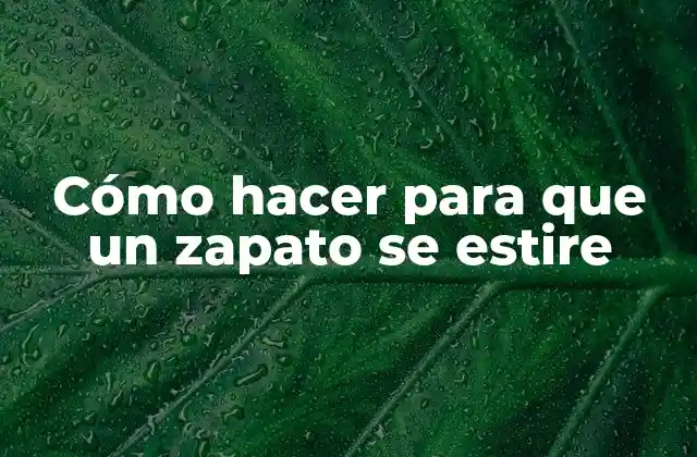 Cómo Hacer para que un Zapato Se Estire