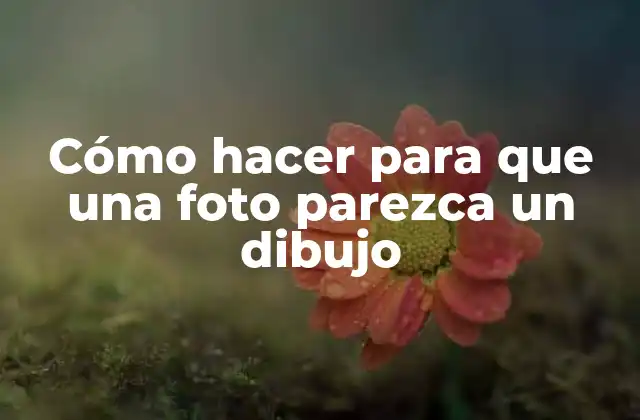 Cómo Hacer para que una Foto Parezca un Dibujo