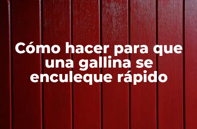 Cómo Hacer para que una Gallina Se Enculeque Rápido