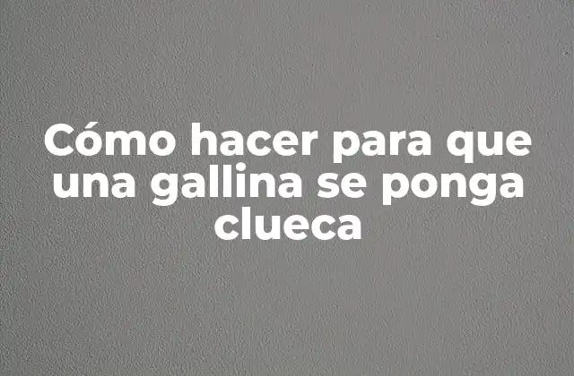 Cómo Hacer para que una Gallina Se Ponga Clueca
