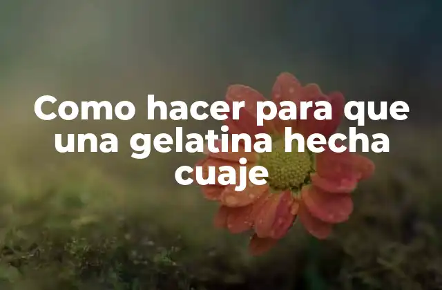 Como Hacer para que una Gelatina Hecha Cuaje