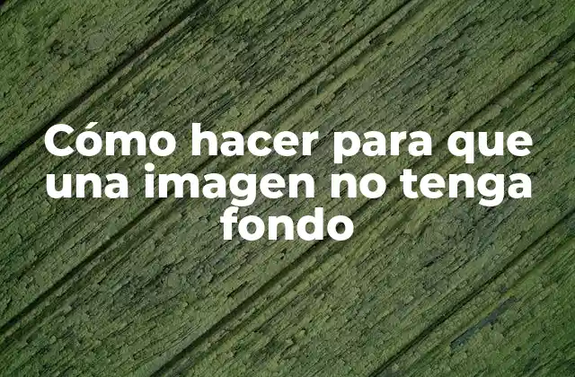 Cómo Hacer para que una Imagen No Tenga Fondo