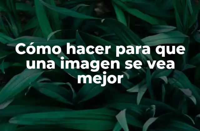 Cómo Hacer para que una Imagen Se Vea Mejor
