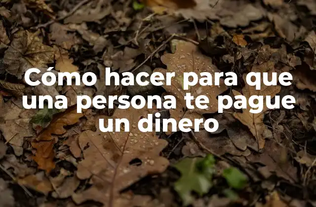 Cómo Hacer para que una Persona Te Pague un Dinero