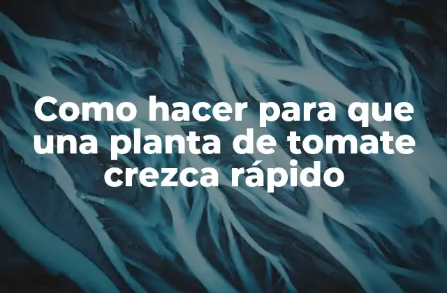 Como Hacer para que una Planta de Tomate Crezca Rápido