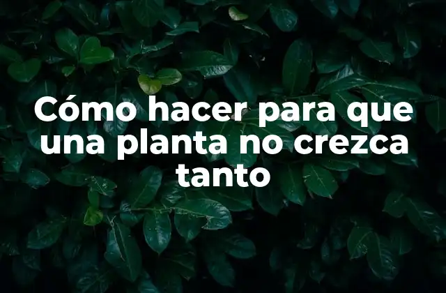 Cómo Hacer para que una Planta No Crezca Tanto