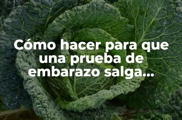 Cómo Hacer para que una Prueba de Embarazo Salga Positiva