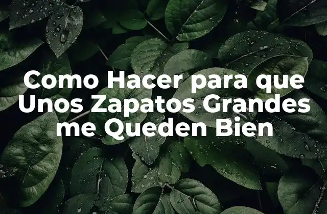 Como Hacer para que unos Zapatos Grandes Me Queden Bien