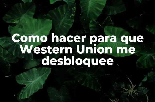 Como Hacer para que Western Union Me Desbloquee