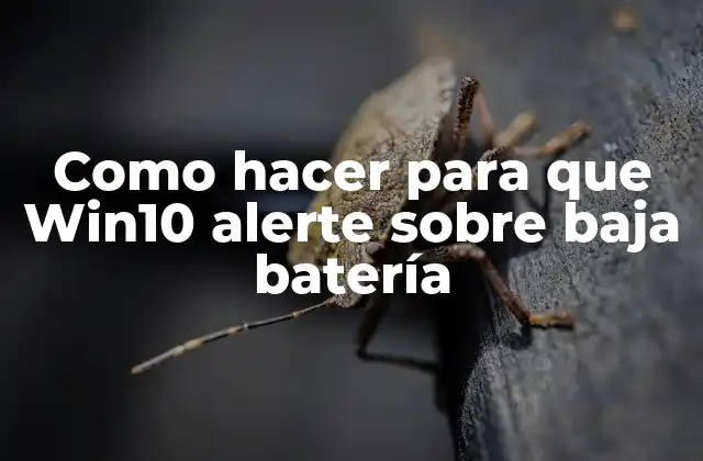 Como Hacer para que Win10 Alerte sobre Baja Batería