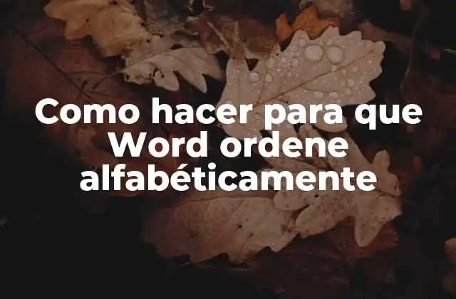 Como Hacer para que Word Ordene Alfabéticamente