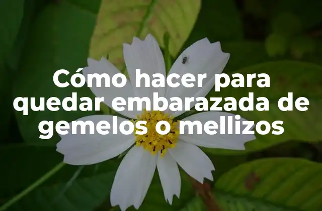 Cómo Hacer para Quedar Embarazada de Gemelos o Mellizos