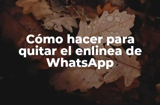 ¿Qué es el enlinea de WhatsApp?