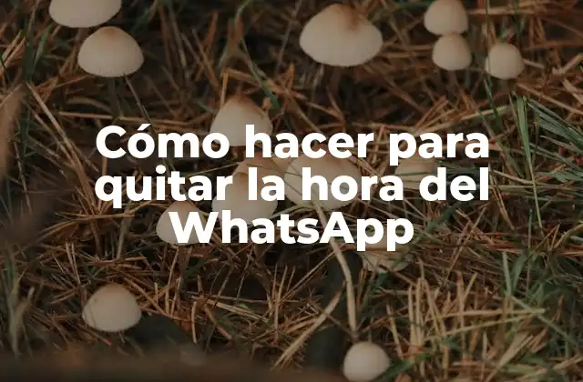 Cómo Hacer para Quitar la Hora Del Whatsapp
