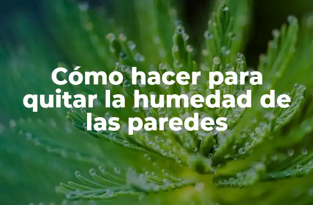 Cómo Hacer para Quitar la Humedad de las Paredes