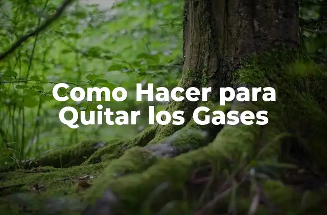 Como Hacer para Quitar los Gases