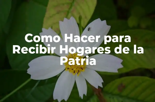 Como Hacer para Recibir Hogares de la Patria
