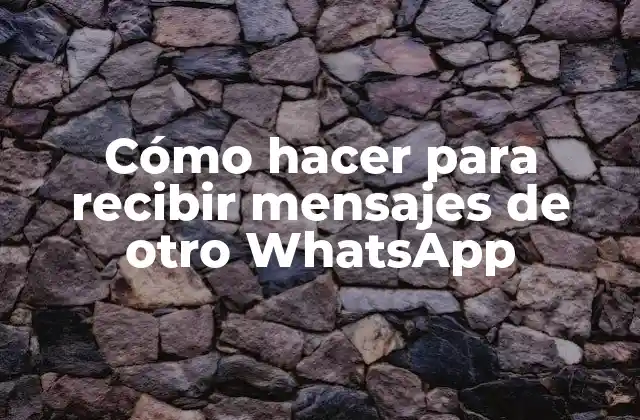 Cómo Hacer para Recibir Mensajes de Otro Whatsapp