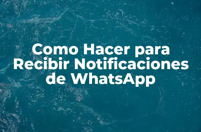 Como Hacer para Recibir Notificaciones de Whatsapp