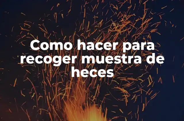 Como Hacer para Recoger Muestra de Heces