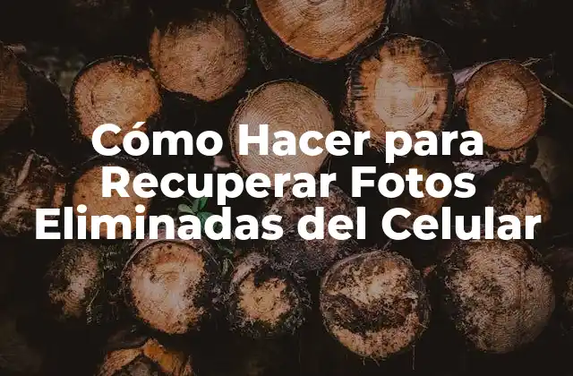 Cómo Hacer para Recuperar Fotos Eliminadas Del Celular