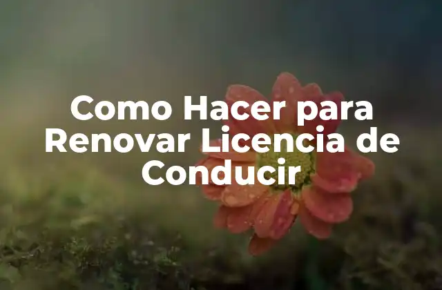 Como Hacer para Renovar Licencia de Conducir