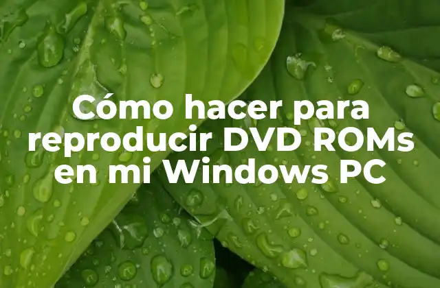 Cómo Hacer para Reproducir Dvd Roms en Mi Windows Pc