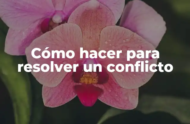 Cómo Hacer para Resolver un Conflicto