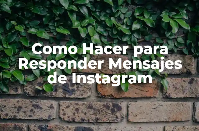 Como Hacer para Responder Mensajes de Instagram 2 ¿Qué son los Mensajes de Instagram?