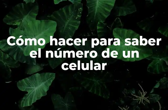 Cómo Hacer para Saber el Número de un Celular