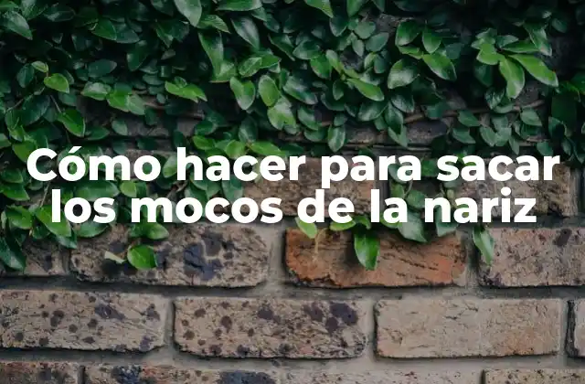 Cómo Hacer para Sacar los Mocos de la Nariz