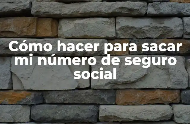 Cómo Hacer para Sacar Mi Número de Seguro Social
