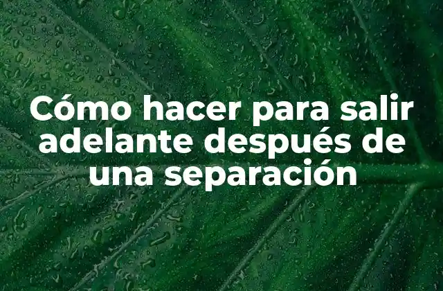 Cómo Hacer para Salir Adelante Después de una Separación