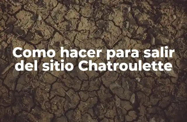 Como Hacer para Salir Del Sitio Chatroulette