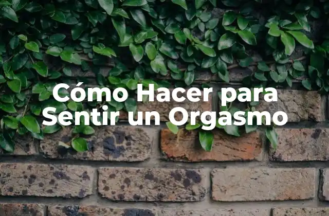 Cómo Hacer para Sentir un Orgasmo