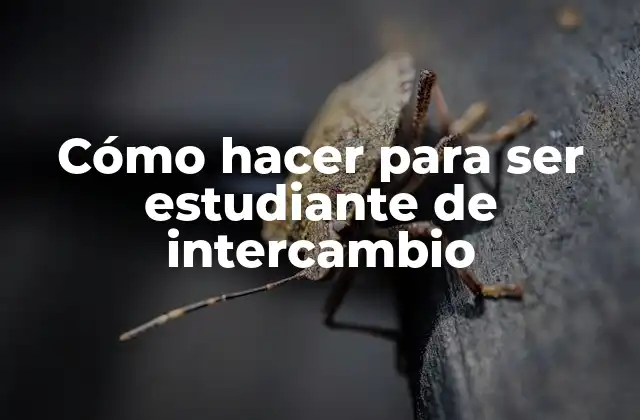 Cómo Hacer para Ser Estudiante de Intercambio