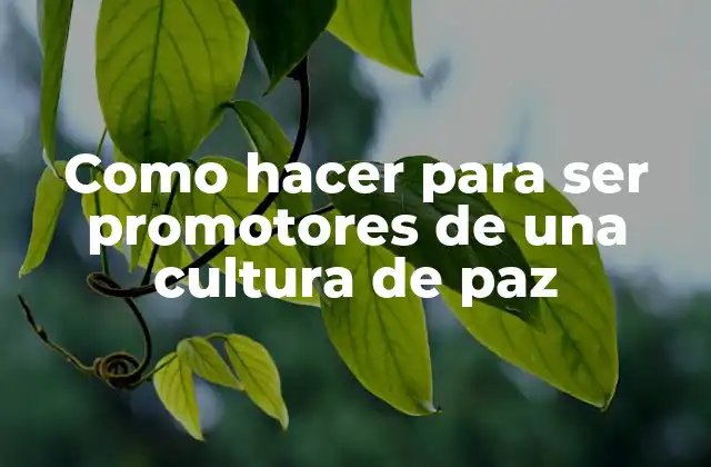 Como Hacer para Ser Promotores de una Cultura de Paz