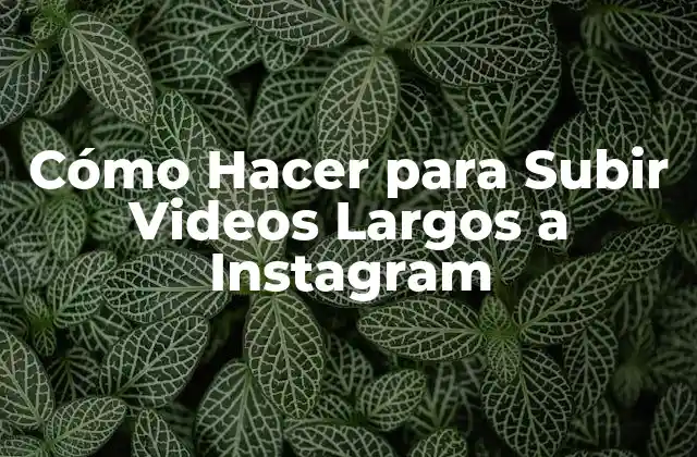 Cómo Hacer para Subir Videos Largos a Instagram